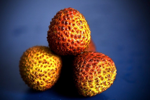 Valentine's Gift Black Tea -  Lychee Black Lapsang Loose Leaf Tea Premium Level NET 30 grams