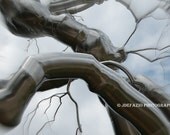 Tree Sculpture - Metal Tree - Abstract - Home Decor - Surreal - 8x10 Fine Art Photography