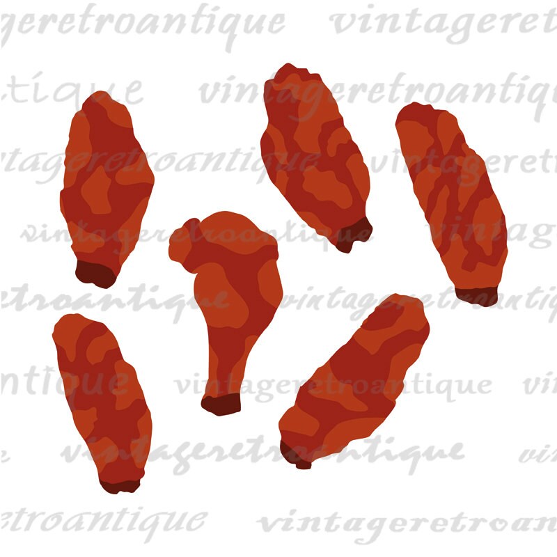 Digital Printable Chicken Wings Graphic by VintageRetroAntique