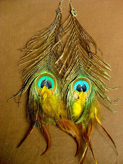 Long peacock & green feather earrings