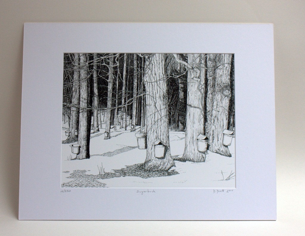 Pen and Ink Drawing "Sugar Bush", matted,11x14
