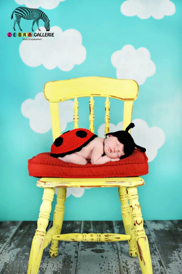 PATTERN Lady Bug Photo Prop - Crochet Hat & Cape / Shell