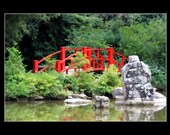 Fine Art Print, 5x7 of a Red Bridge
