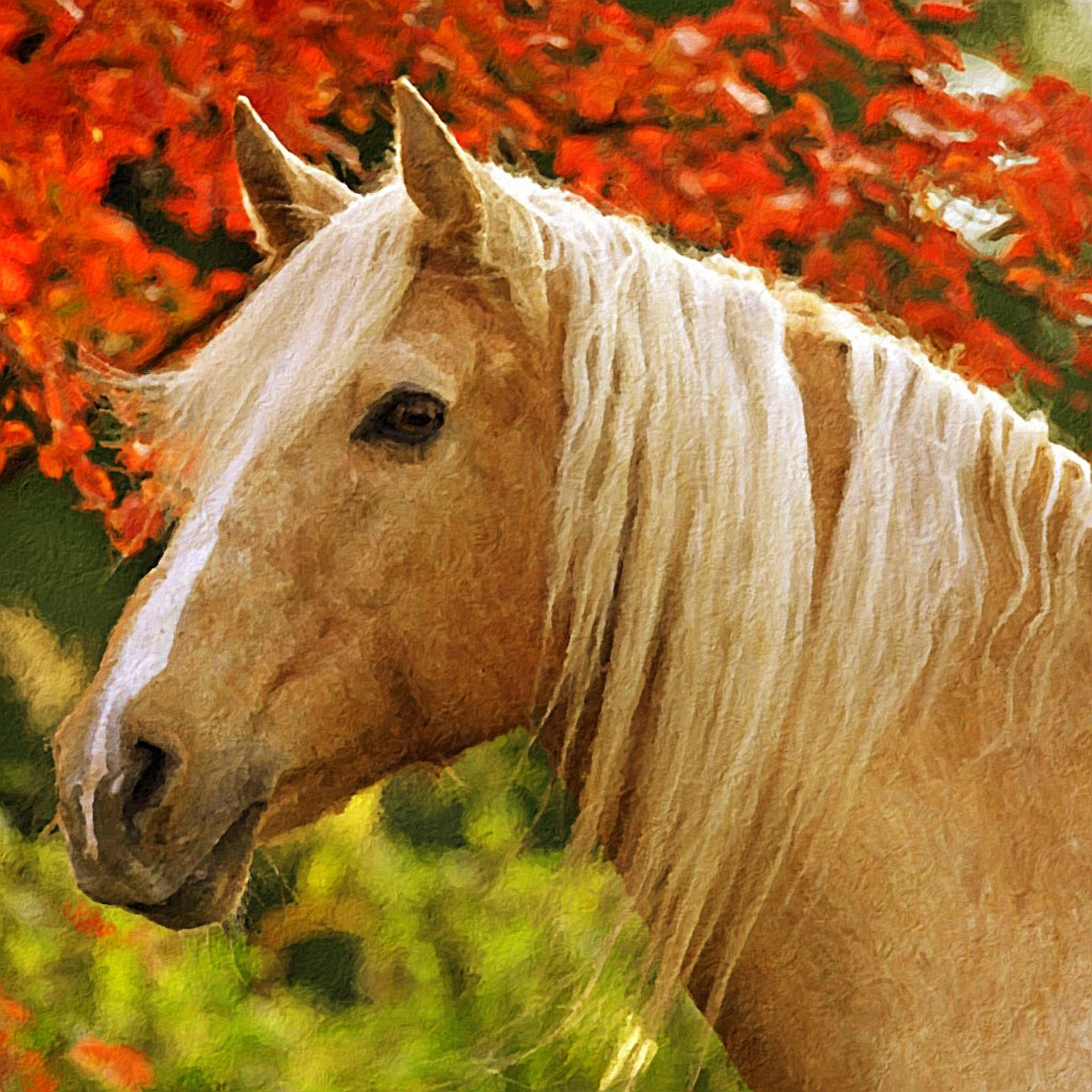 20x20 Horse Print, Giclee Oil Painting on Canvas, Gallery Wrapped