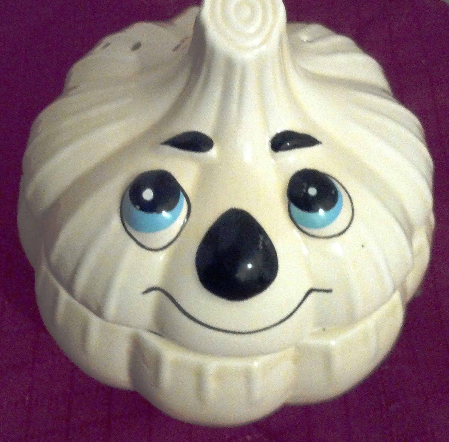 Onion Storage Container