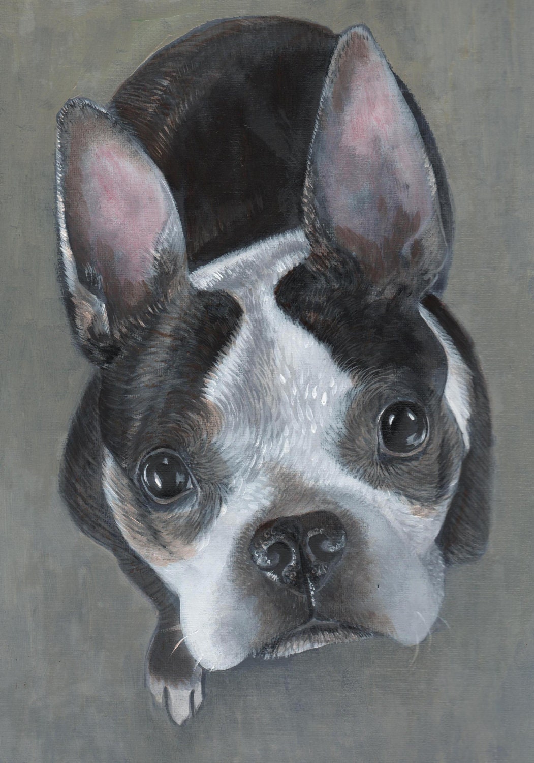 Giclee reproduction animal print. A4 (8" x 12")