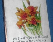 Daffodil Hab 3:18-Recycled Wood-Wall Hanging-Wall Decor for home decor, vintage looking, shabby chic, distressed houseware