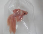 Needle Felted Animal Fairground Orange Fan Tail Goldfish In A Bag