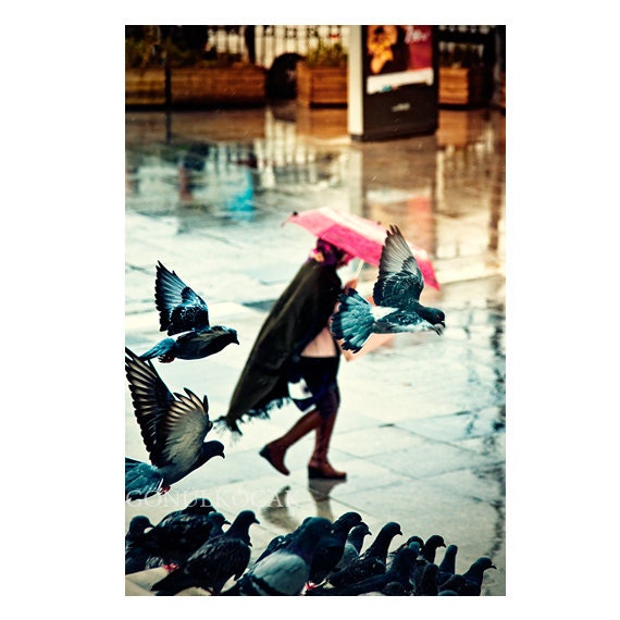 Rain Photography, Photograph, Umbrella, Pink umbrella,   birds, street, Colors, color, Rain, Pink, Blue, Turquoise, 10''x 15 ''inch.