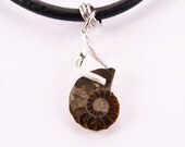 AMMONITE fossil HANDMADE NECKLACE spiral nautilus stone green warm brown leather pendant organic natural earthy jewelry unisex