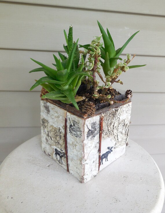 Rustic Birch Bark Planter Box by marys4everflowers on Etsy