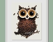 Coffee Owl Artwork 8x10 Art Print  Coffee Bean Owl