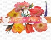 Pngs - Elaments - Scrapbooking - Flowers - Images - "Flower Mix 1"