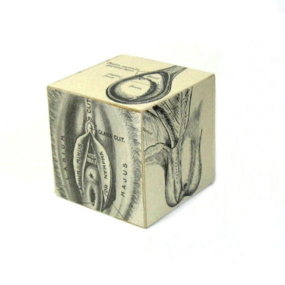 Funny Naughty Gag Gift Sex Decor Mature Office Decor Humor Novelty Sex Ed
