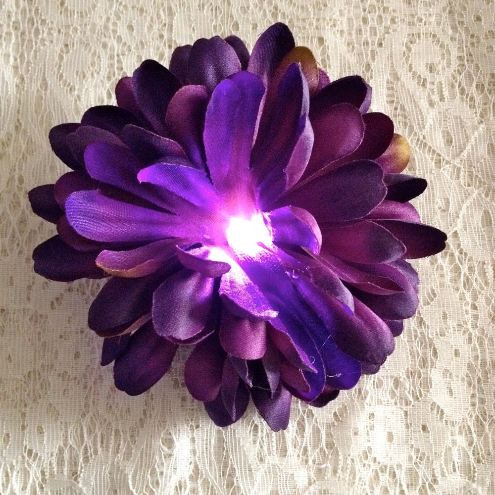 Purple Chrysanthemum Flower