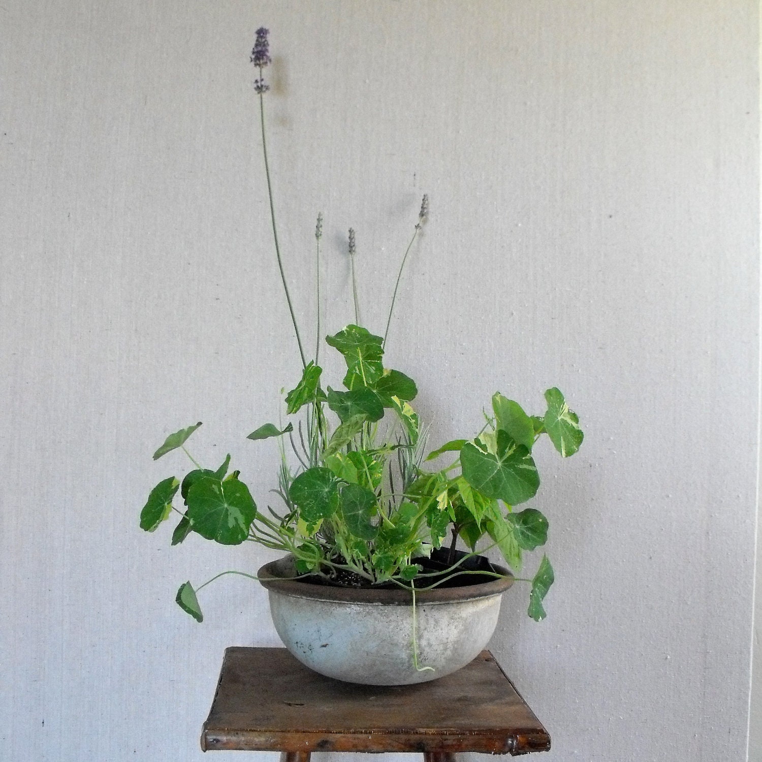 Vintage Industrial Zinc Container : Planter, Fountain, Garden Decor