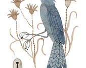 bluebird bird art giclee print reproduction watercolor