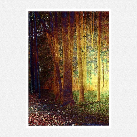 Nature Photography, Brown, blue, green, surreal trees, autumn home decor, The Magic of Autumn  fine art photography print 8x10
