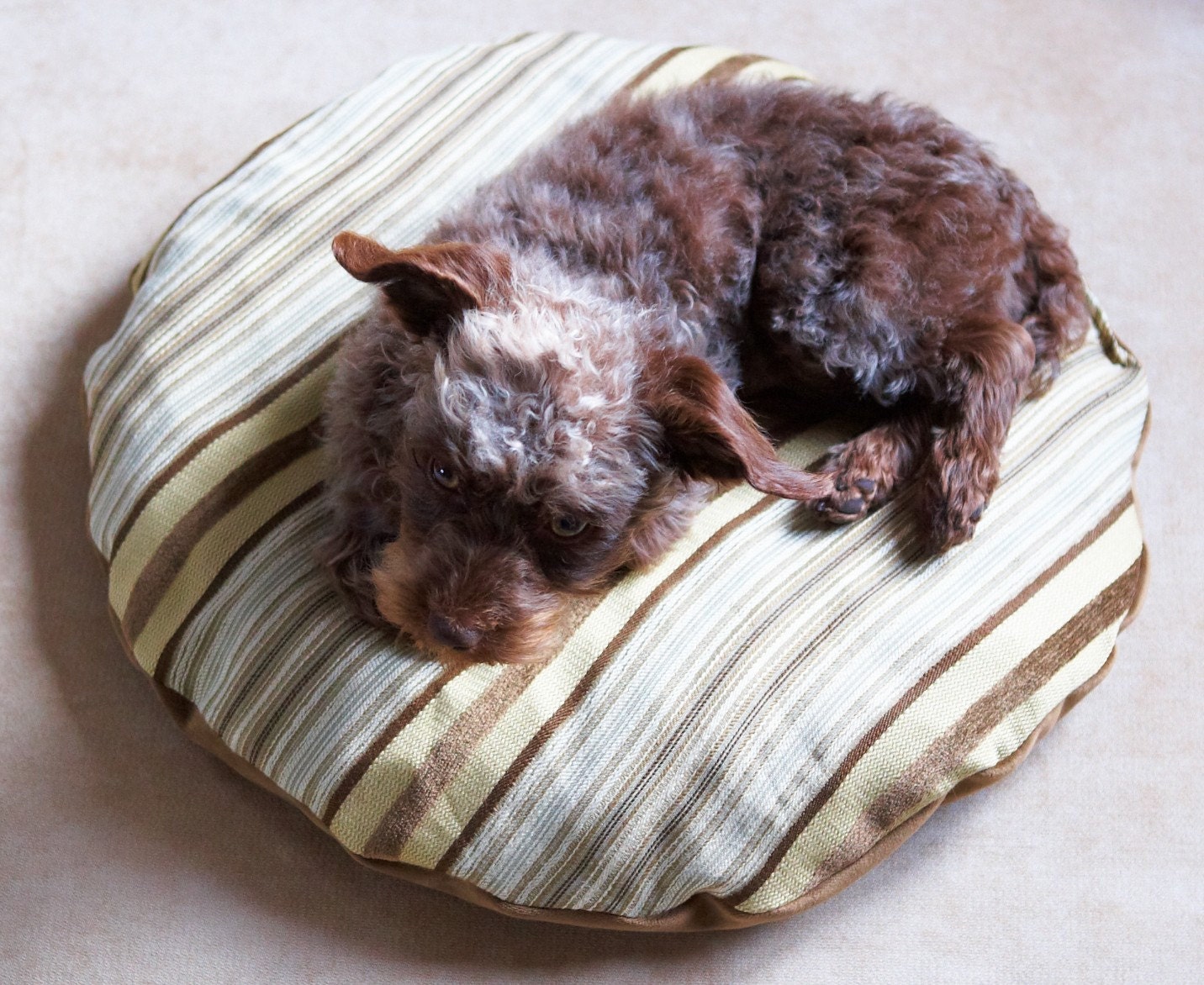 All Purr Puss Wooly Dog Bed