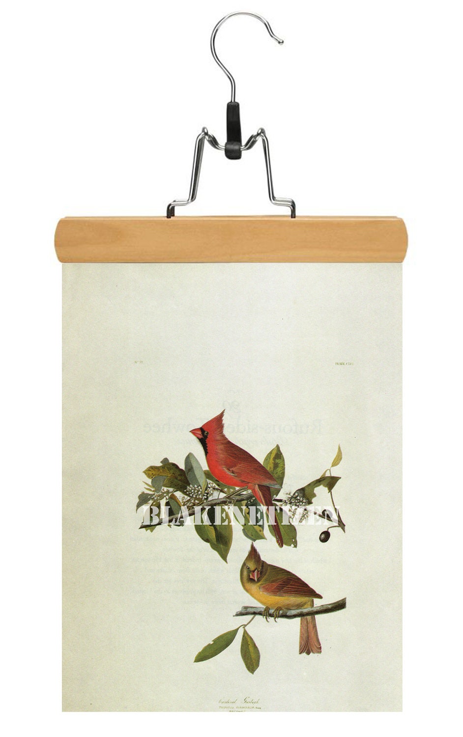 Audubon Cardinal Vintage Ornithological Art Print on Card stock