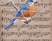 Mr. Bluebird is a 10x8 Sheet Music Art Print of a Painting by Jimmie