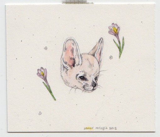 Fennec and Crocus (original painting)