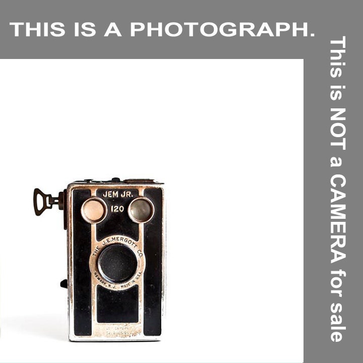 Vintage camera photograph - black and gold wall decor - retro modern gift for a photographer - Raceytay