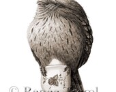 Who Needs Trees 2 - ECO Limited Edition Fine Art Print