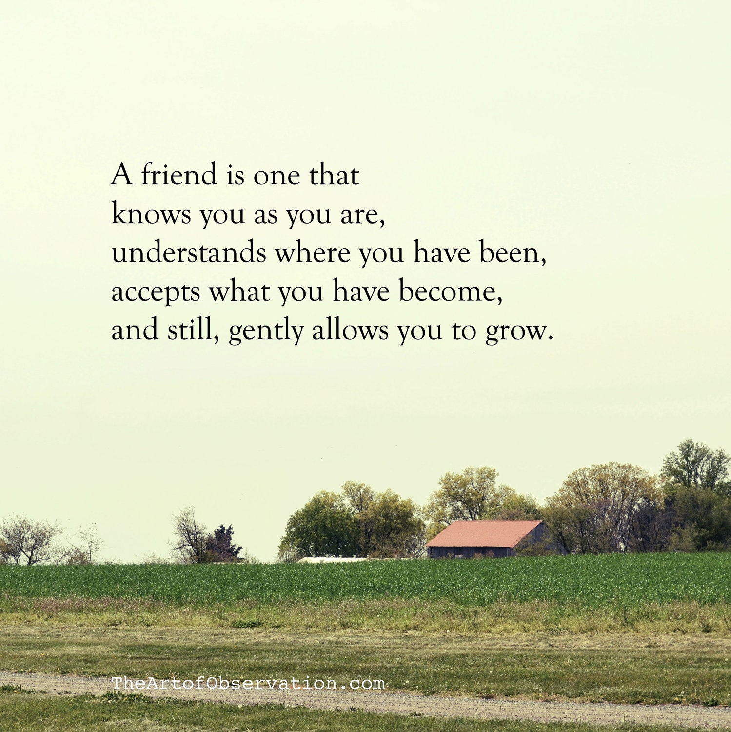 friendship-life-quotes-and-words-pinterest