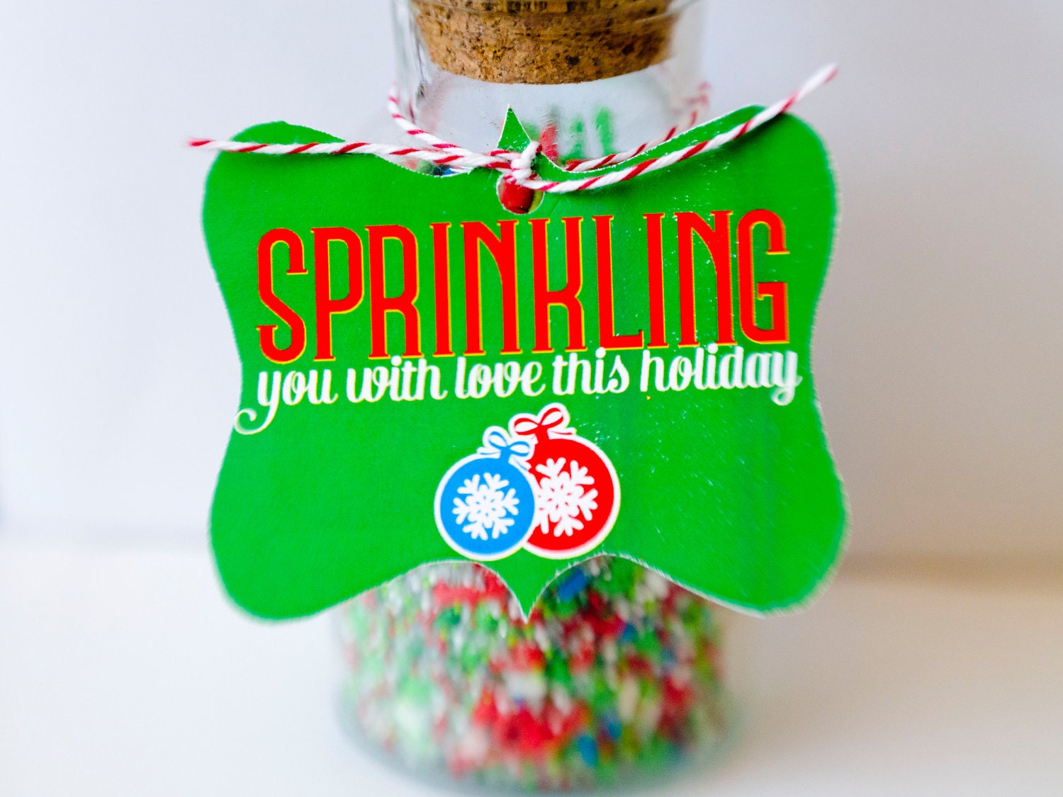 Christmas PRINTABLE Party 'Sprinkling You With Love' Neighbor Gift (INSTANT DOWNLOAD) by Love The Day Il_570xn