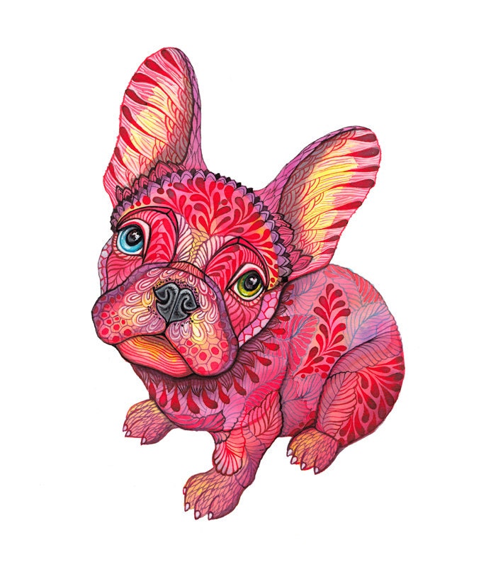 French bulldog animal art print, Raspberry Frenchie, size 8x10, LIMITED EDITION 29/100 (No. 55)