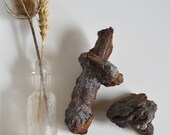 Rusty Bolts Industrial Beach Salvage Vintage Pair of 2 Unique Shelf Piece Salvaged Decor Decoration Old Rust Brown Orange Diving Ocean Metal