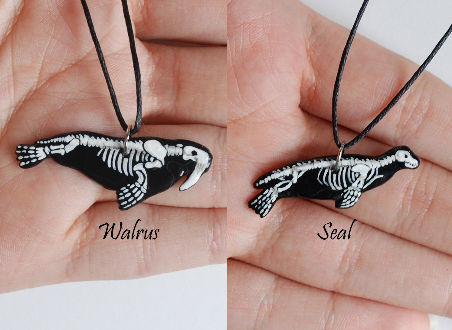 Pinniped (Walrus or Seal) Skeleton Necklace