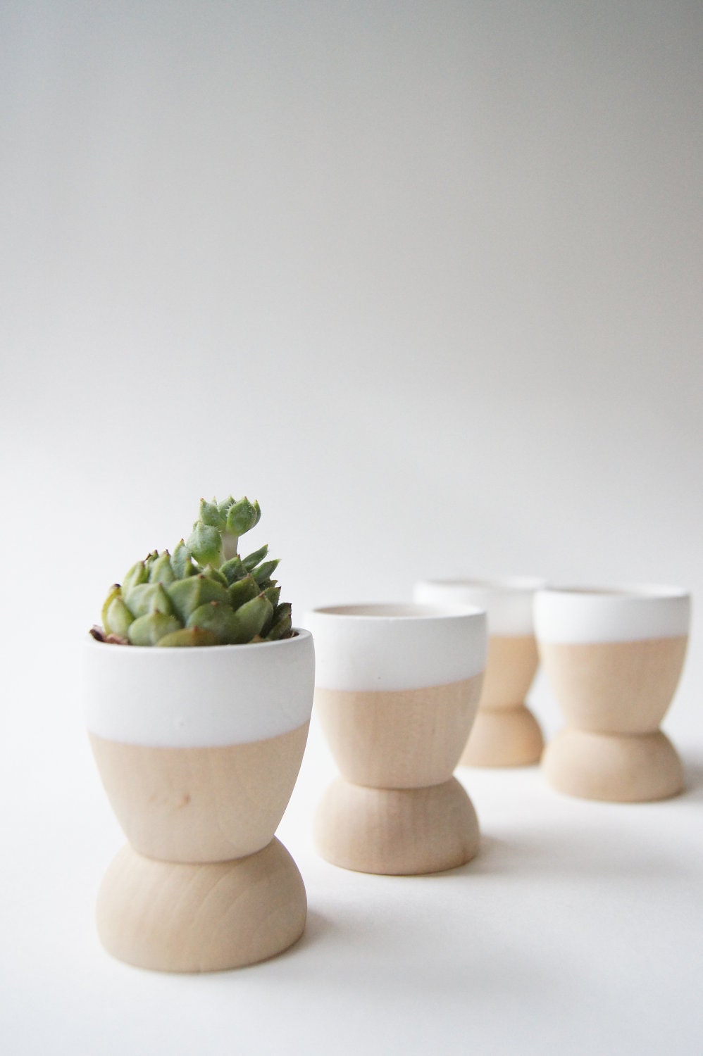 Mini Planters set of 4, Snow White, wedding favors, modern home decor