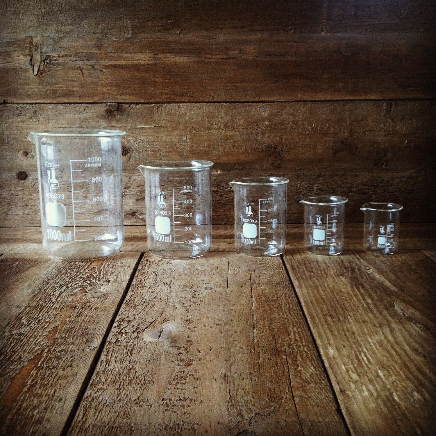 Science Gift // Terrarium Kit for Scientists and Gardeners - Home Decor - DIY Gift (1000ml beaker)