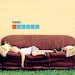 Couch Fighter Wall Decal