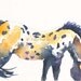 Horse art - Costilla Appaloosa - equine art - watercolor giclee 10x15