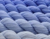 Chicory Gradated Yarn Set