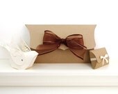 Pillow Boxes, 6 Extra Large 10" x 5" x 2" - DIY retail product packaging, elegant gift wrapping, unique wedding gift box