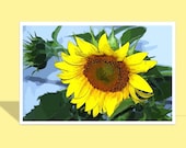 Yellow Sunflower Greeting Card - yellow flower card - cartoon design - Matching sunflower envelope - 8 1/2 x 5 1/2