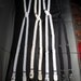 SWANclothing Lace Suspenders in White w White leather