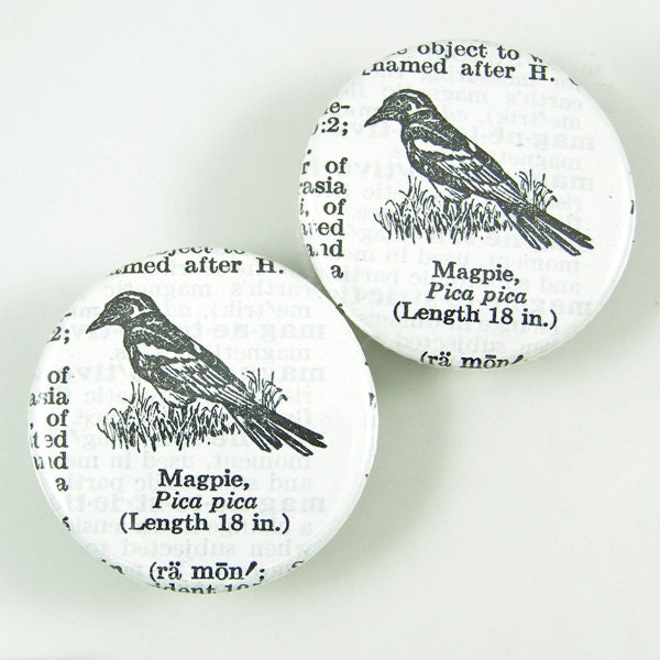 Magpie Bird Magnets