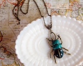 turquoise enamel beetle necklace- long aged brass- natural history- insect jewelry