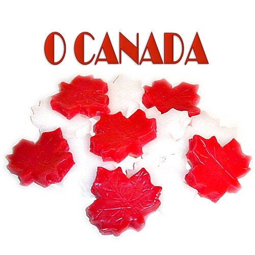 12 O Canada Tarts Wickless Candle Melts Vanilla and Cinnamon Maple Leaves