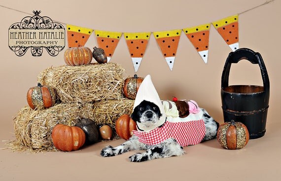 CANDY CORN hand painted Burlap Banner Pennant Bunting