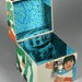 Groovin' CD Case or Keepsake Box Handmade from Recycled Record - Young Rascals