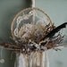 Bird Nest Dreams - Abandoned Vintage Bits of Fabric, Twigs, and Feathers Nature Dreamcatcher OOAK FunkyJunkyArt