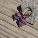 SALE Handmade Enamel on Copper and Charoite Stone Earrings, Purple, Violet, Lavender, Forged Rustic Copper, Enamelled Copper Earrings (G166)