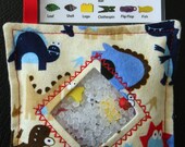 I Spy Bag - Mini with Sewn Word List and Detachable Picture List- Roaring Dinosaurs
