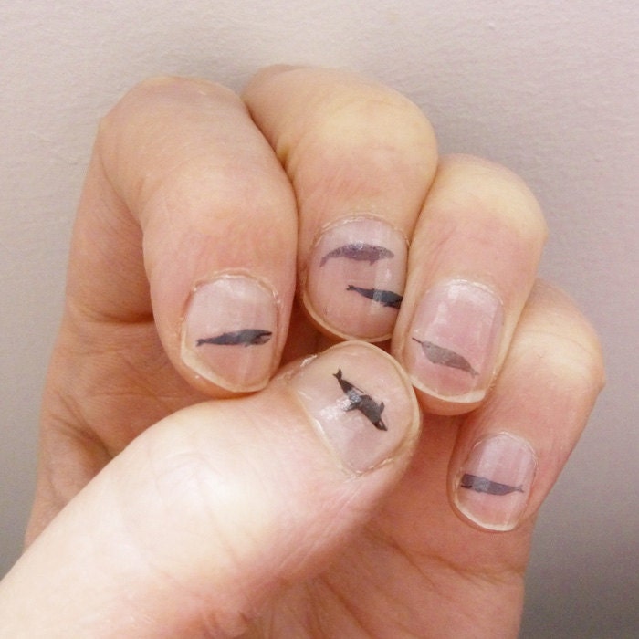 whale nail transfers